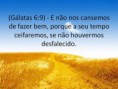 /album/galeria-de-fotos%3a-devocionais-e-esbo%c3%a7os/religiao-e-crenca-versiculos-evangelicos-672b03-jpg/